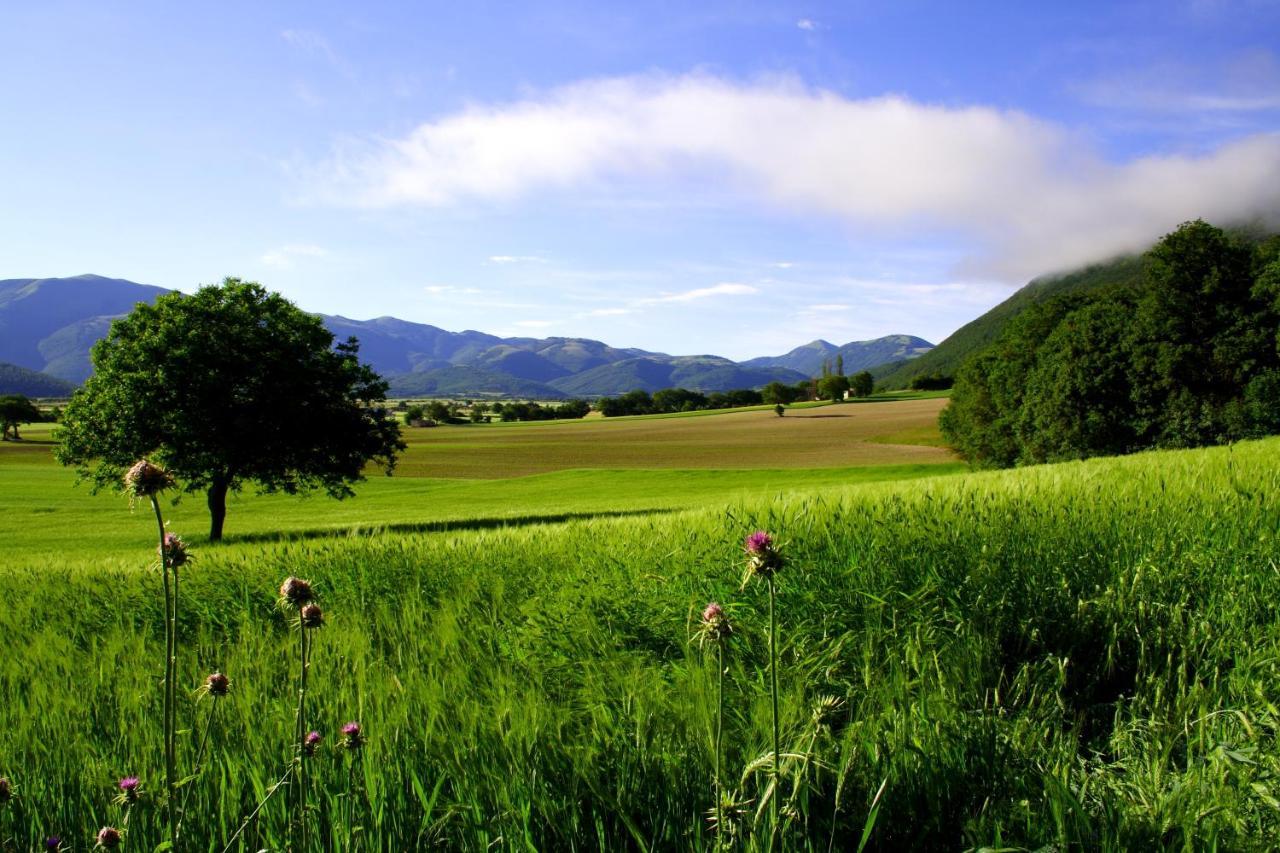 Agriturismo La Cascina Di Opaco Norcia Exterior foto