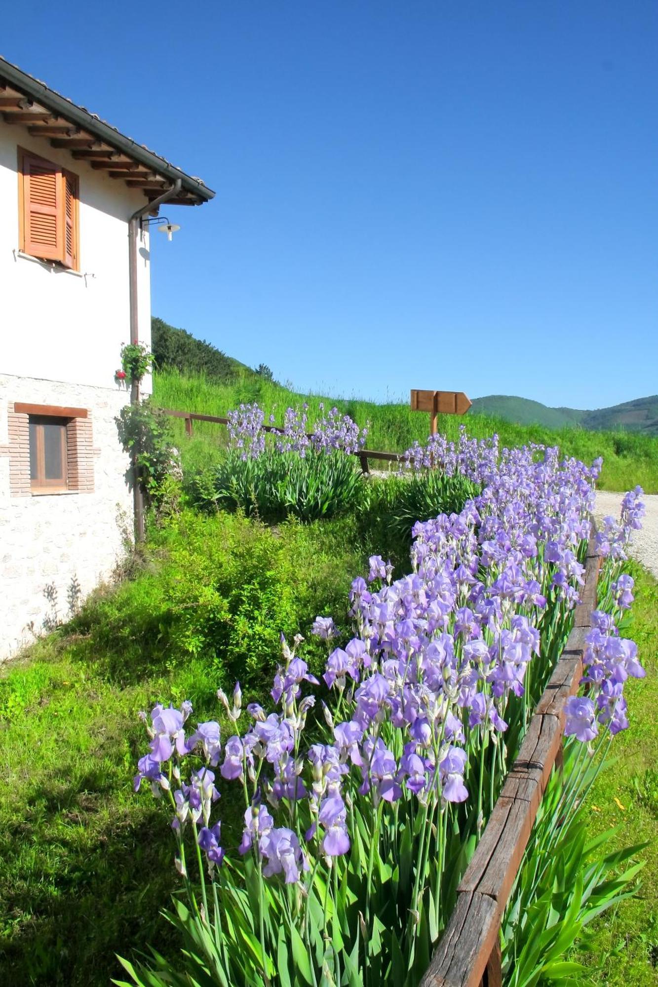 Agriturismo La Cascina Di Opaco Norcia Exterior foto